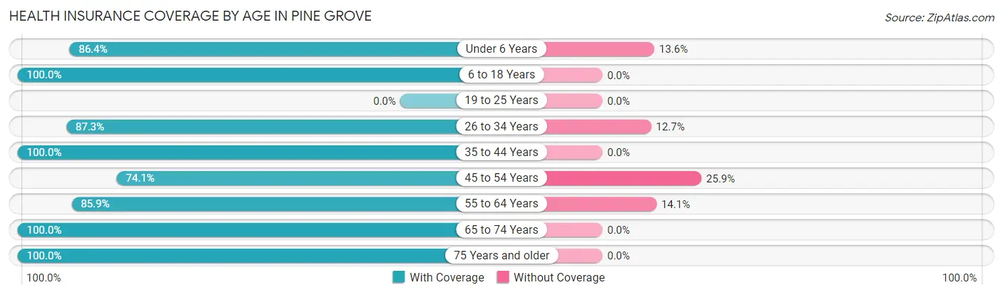 Health Insurance Coverage by Age in Pine Grove