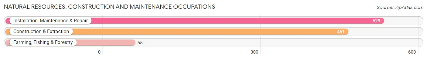 Natural Resources, Construction and Maintenance Occupations in Pleasanton