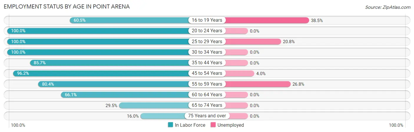Employment Status by Age in Point Arena