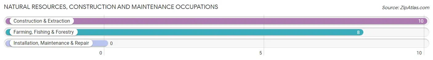 Natural Resources, Construction and Maintenance Occupations in Raisin City