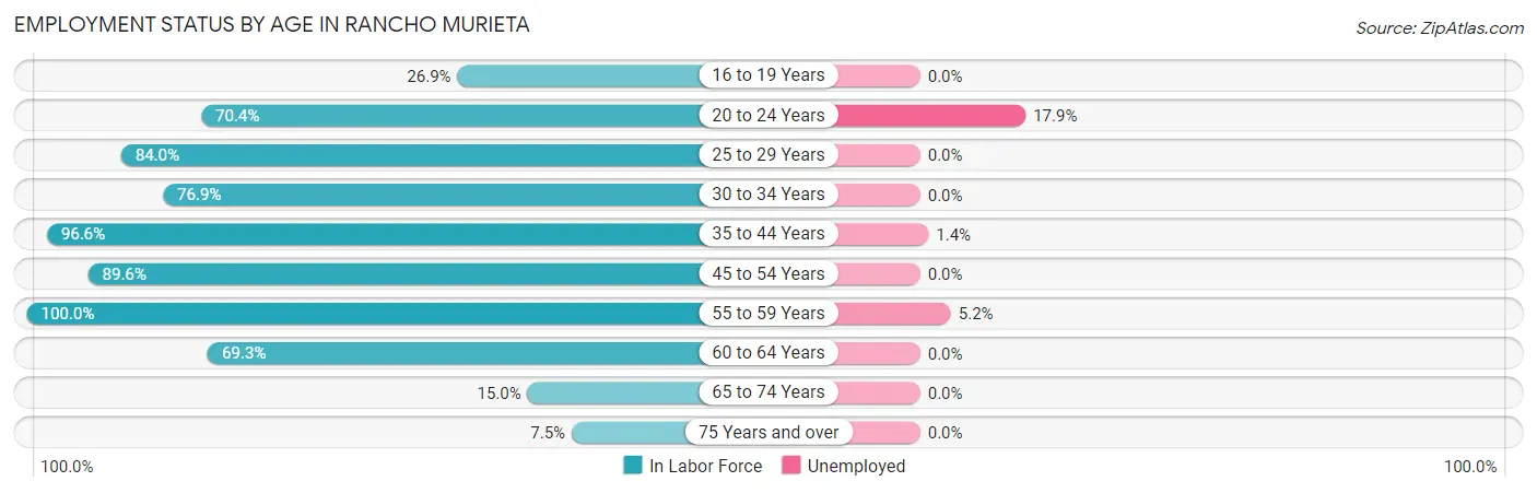 Employment Status by Age in Rancho Murieta