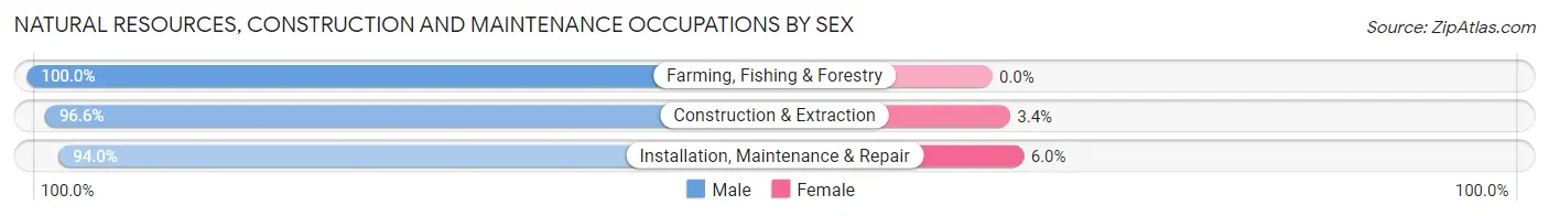 Natural Resources, Construction and Maintenance Occupations by Sex in Rancho Santa Margarita