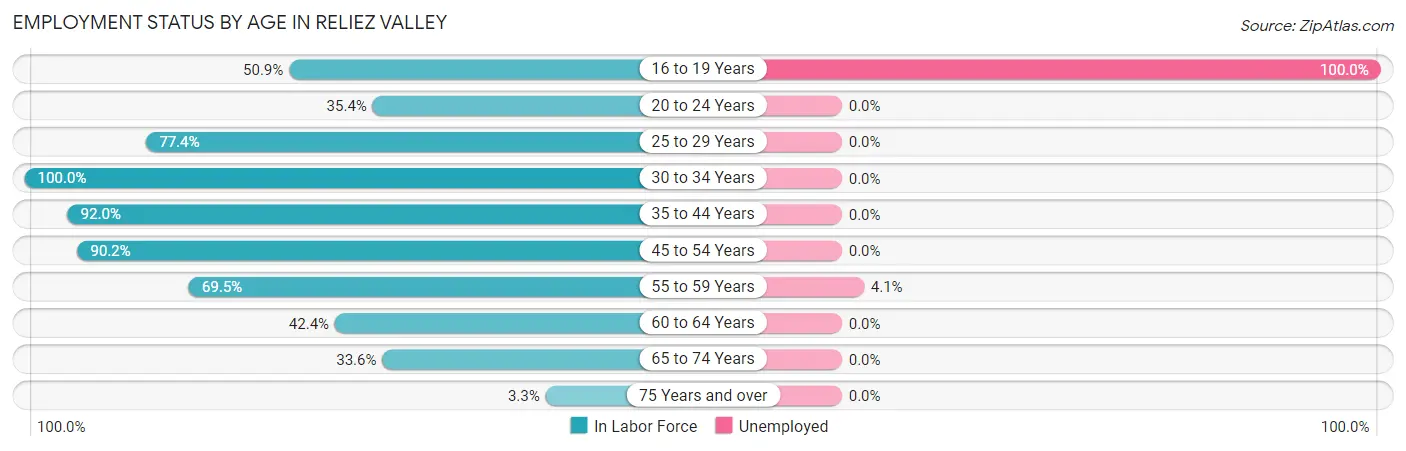Employment Status by Age in Reliez Valley