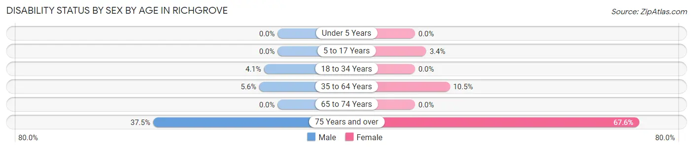 Disability Status by Sex by Age in Richgrove