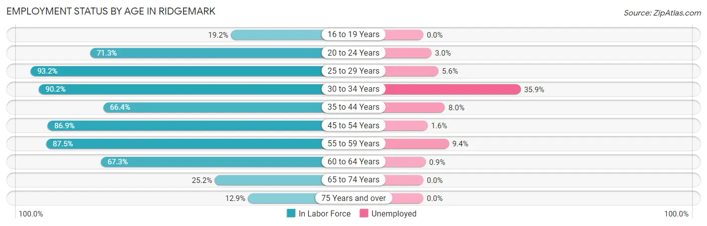 Employment Status by Age in Ridgemark