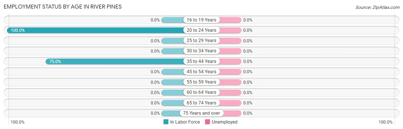 Employment Status by Age in River Pines