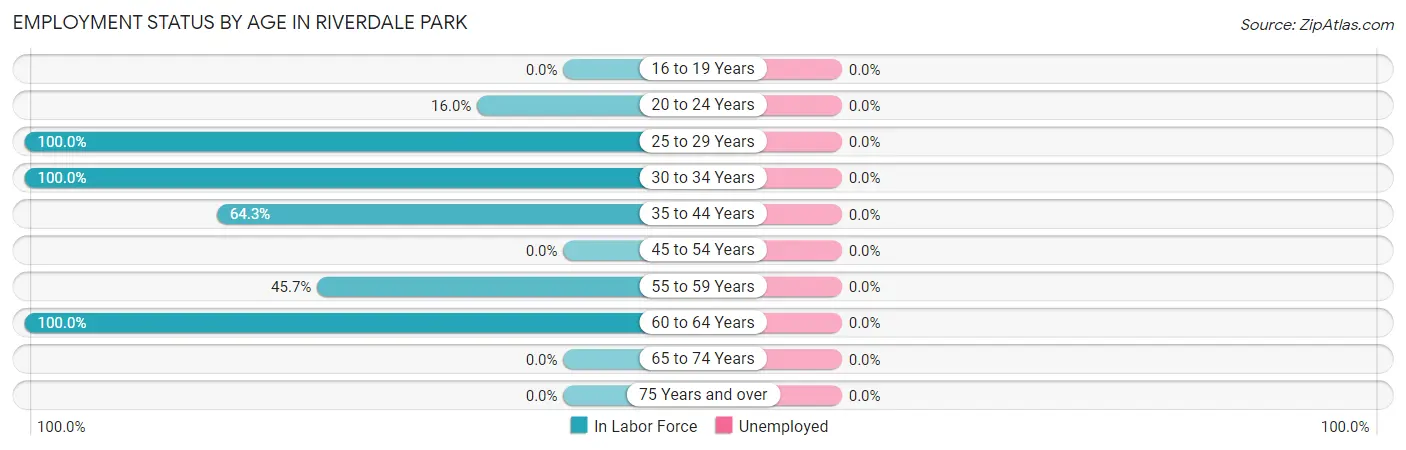 Employment Status by Age in Riverdale Park