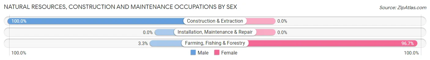 Natural Resources, Construction and Maintenance Occupations by Sex in Riverdale Park