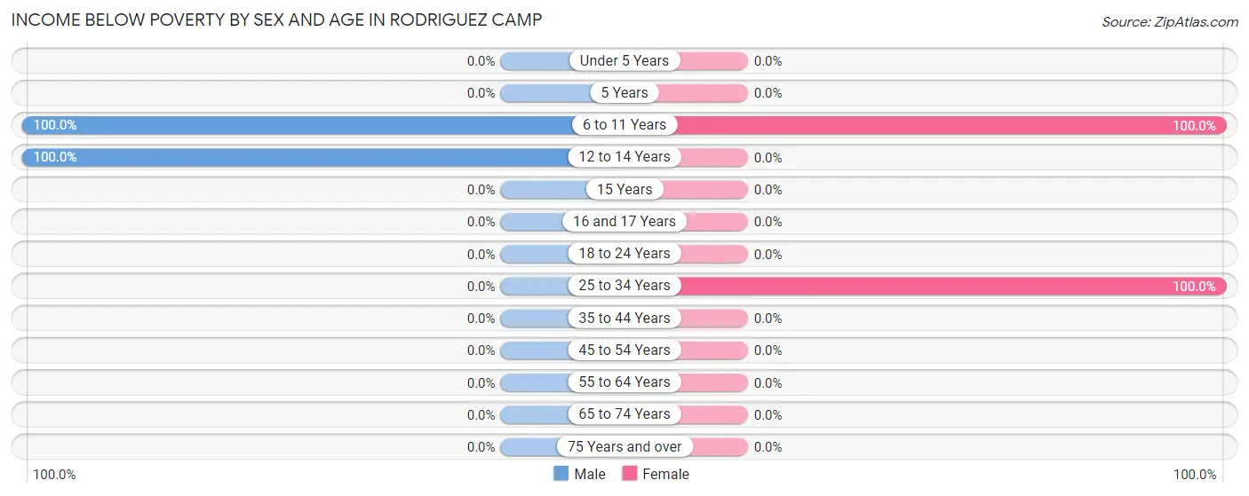 Income Below Poverty by Sex and Age in Rodriguez Camp