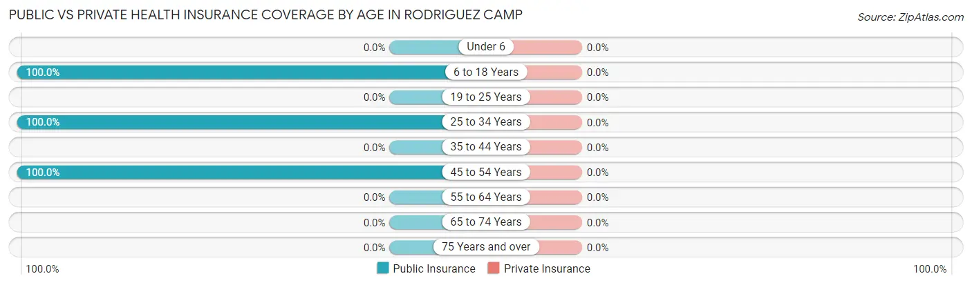 Public vs Private Health Insurance Coverage by Age in Rodriguez Camp