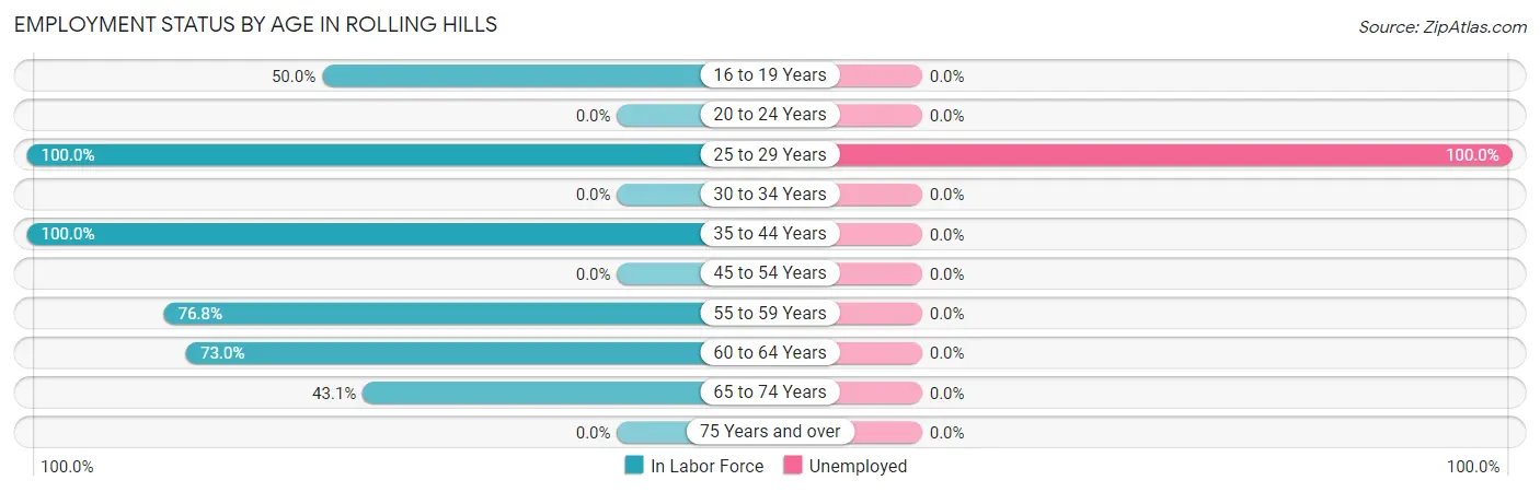 Employment Status by Age in Rolling Hills