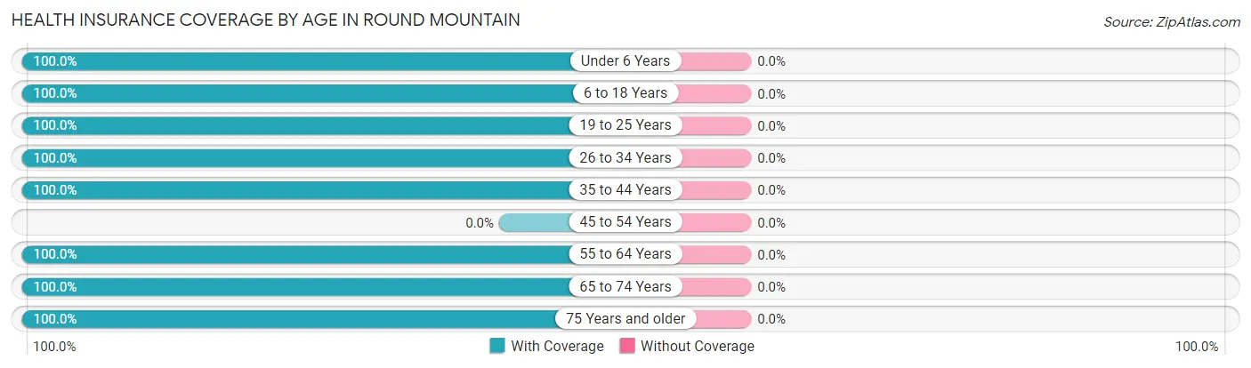Health Insurance Coverage by Age in Round Mountain