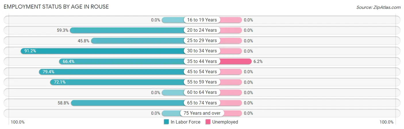 Employment Status by Age in Rouse