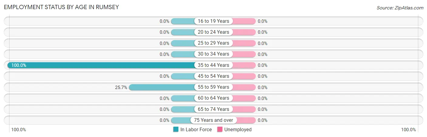 Employment Status by Age in Rumsey
