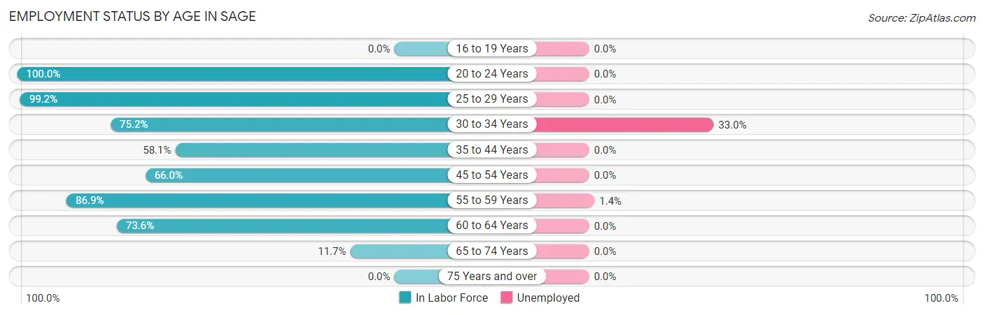Employment Status by Age in Sage