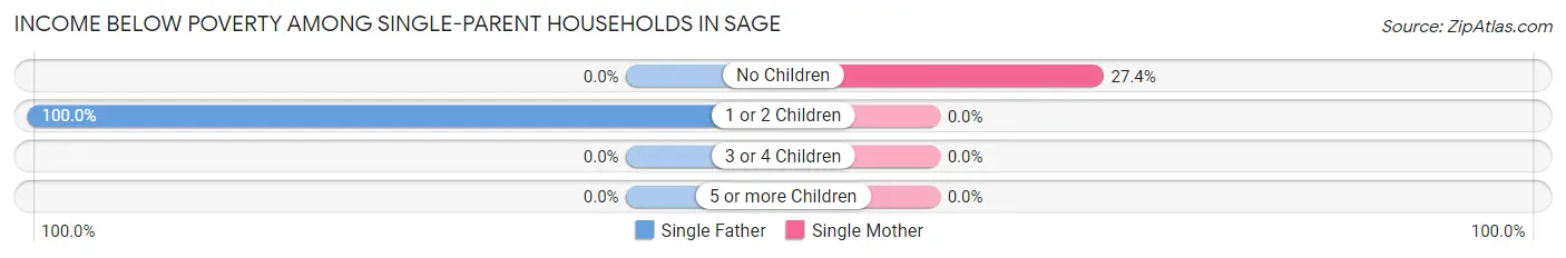 Income Below Poverty Among Single-Parent Households in Sage