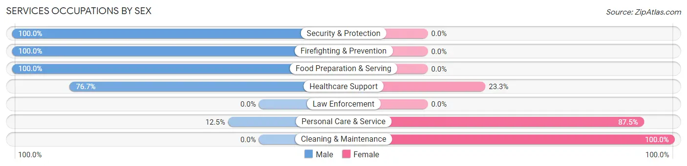 Services Occupations by Sex in Sage