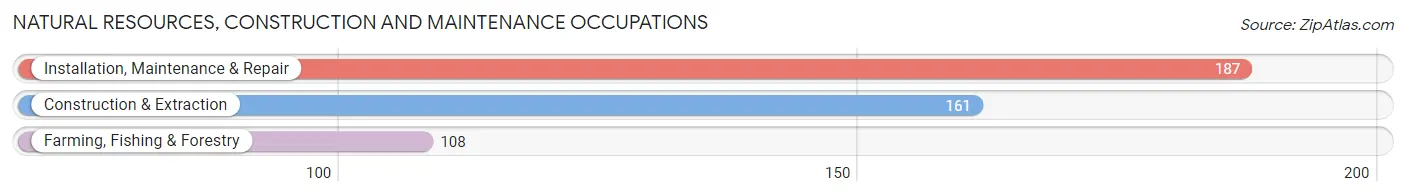 Natural Resources, Construction and Maintenance Occupations in Salton City