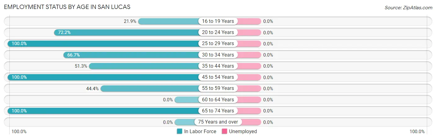 Employment Status by Age in San Lucas