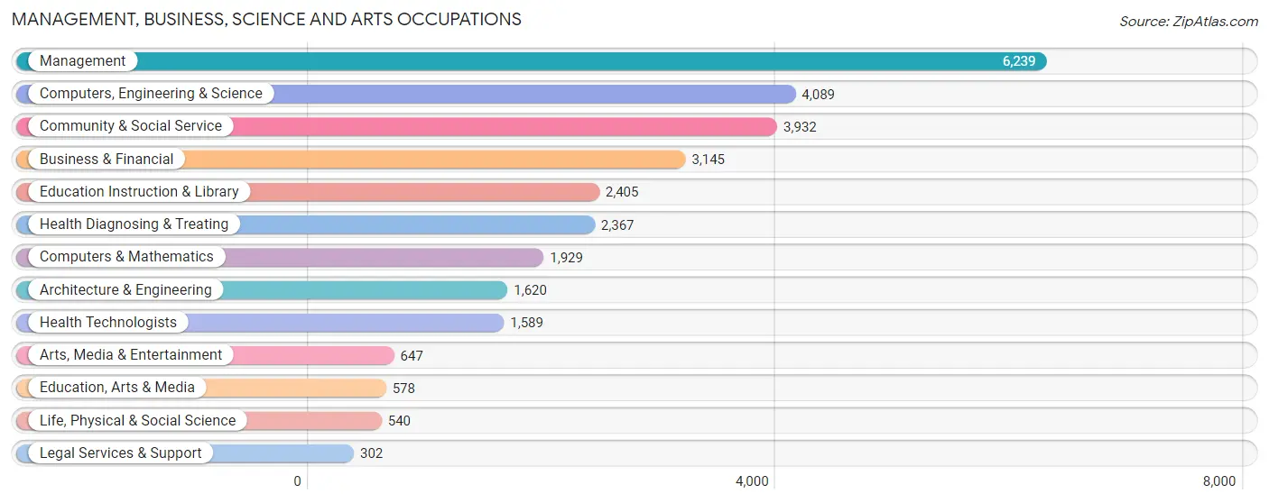 Management, Business, Science and Arts Occupations in San Marcos