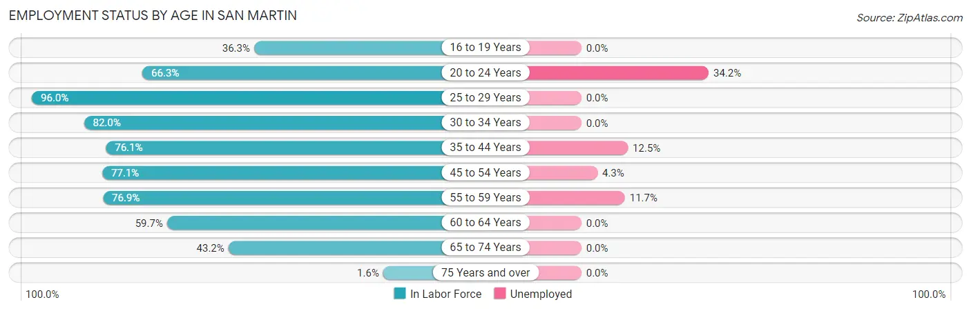 Employment Status by Age in San Martin