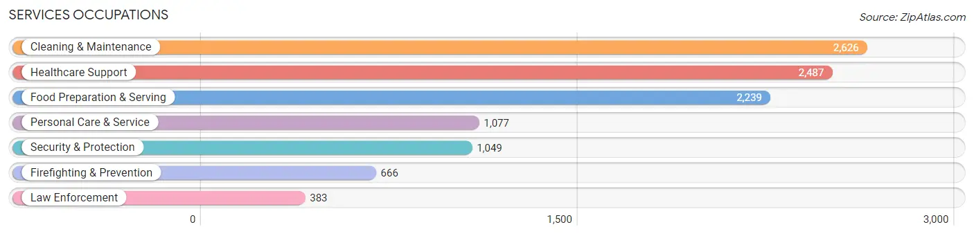 Services Occupations in Santa Maria