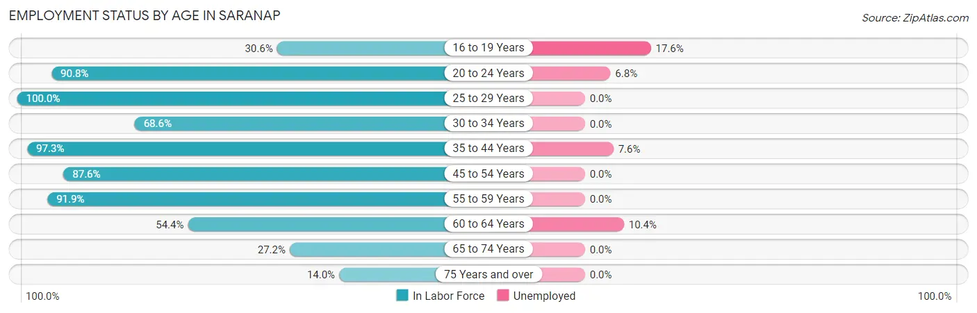Employment Status by Age in Saranap
