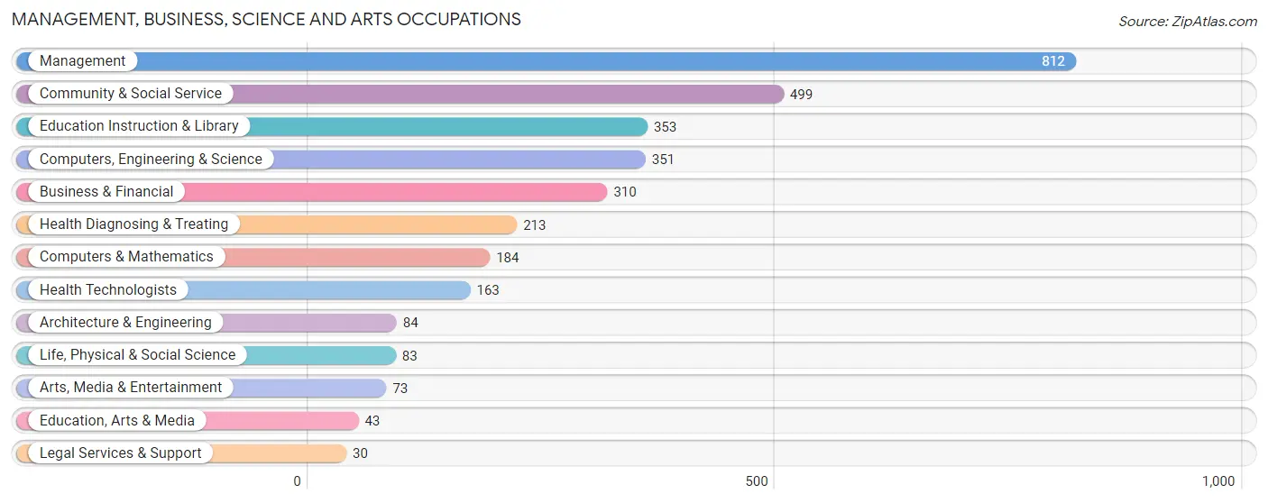 Management, Business, Science and Arts Occupations in Saranap