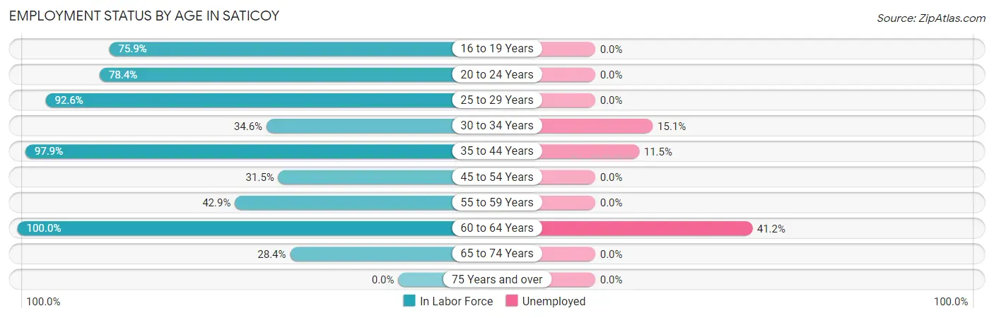 Employment Status by Age in Saticoy