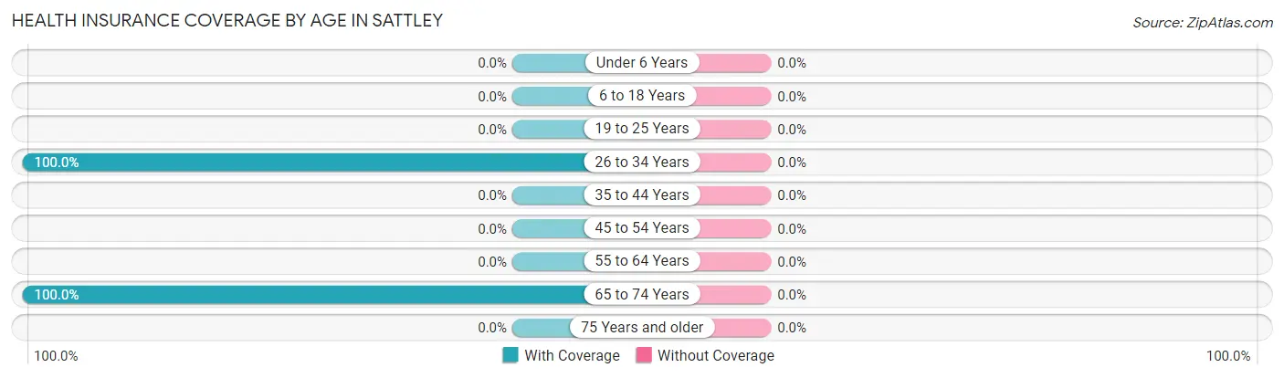 Health Insurance Coverage by Age in Sattley