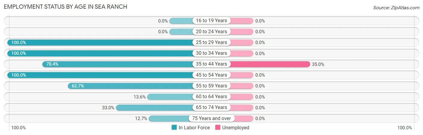 Employment Status by Age in Sea Ranch
