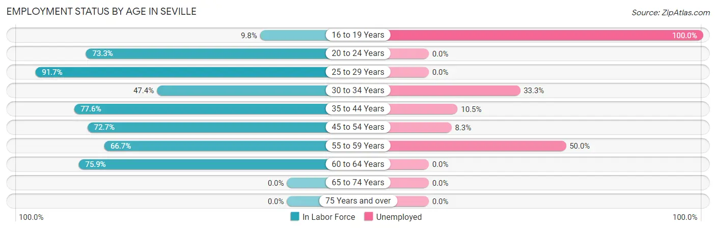 Employment Status by Age in Seville