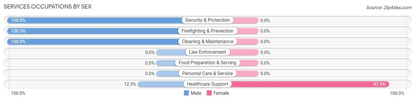 Services Occupations by Sex in Seville