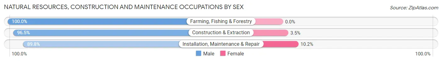 Natural Resources, Construction and Maintenance Occupations by Sex in Shasta Lake