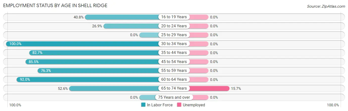 Employment Status by Age in Shell Ridge