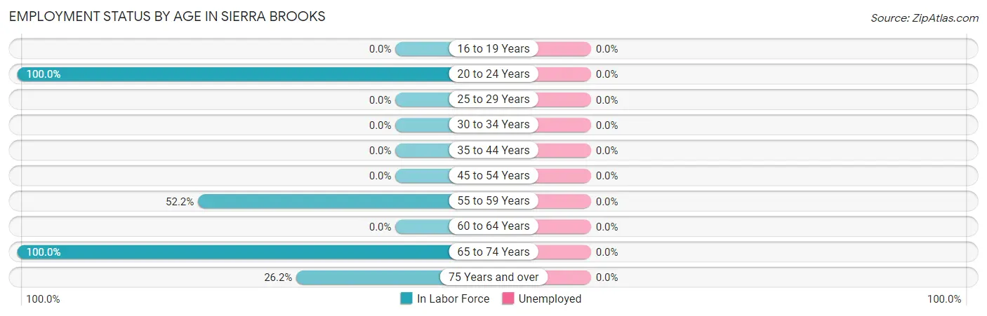 Employment Status by Age in Sierra Brooks