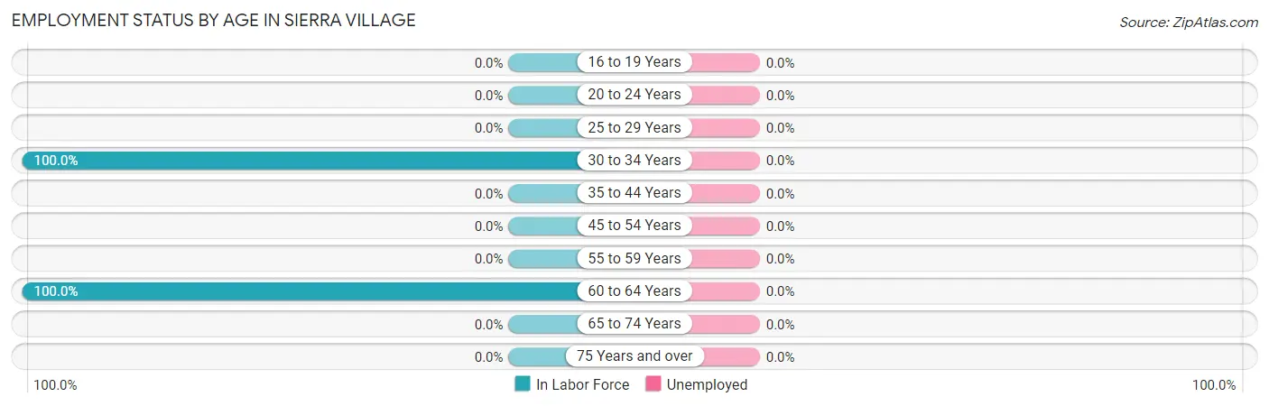 Employment Status by Age in Sierra Village