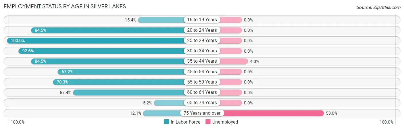 Employment Status by Age in Silver Lakes