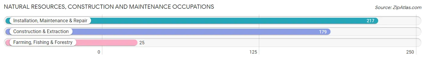 Natural Resources, Construction and Maintenance Occupations in Silver Lakes