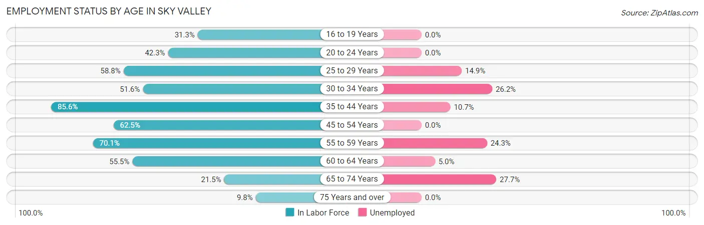 Employment Status by Age in Sky Valley