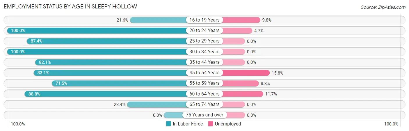 Employment Status by Age in Sleepy Hollow