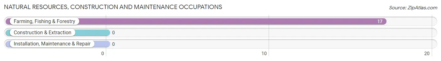 Natural Resources, Construction and Maintenance Occupations in Snelling