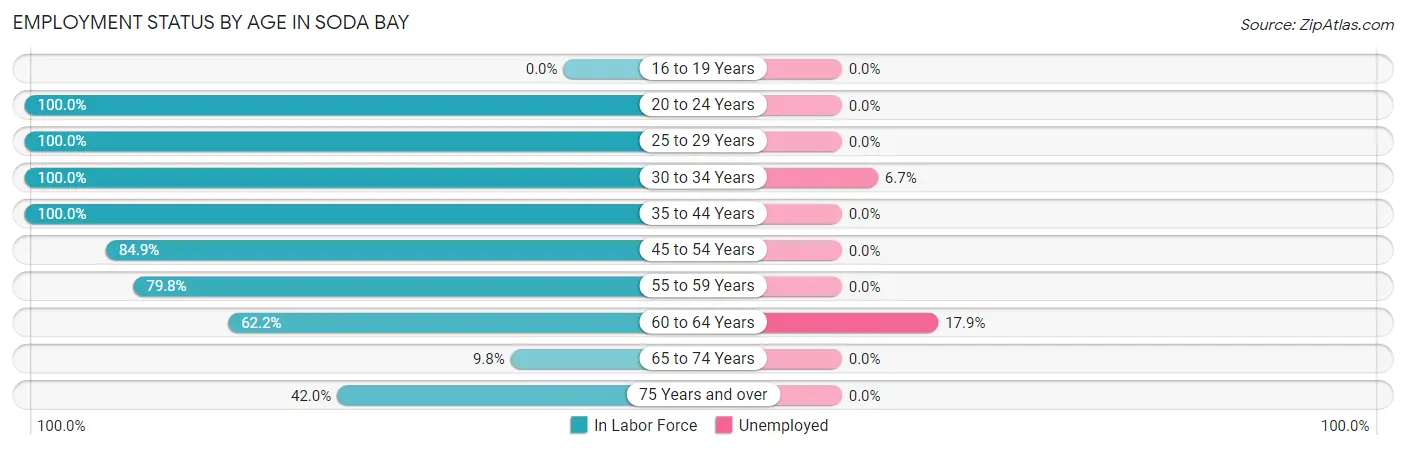Employment Status by Age in Soda Bay