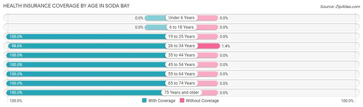 Health Insurance Coverage by Age in Soda Bay