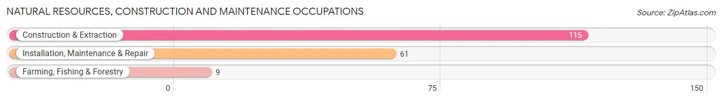 Natural Resources, Construction and Maintenance Occupations in Solana Beach