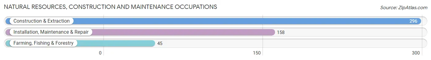 Natural Resources, Construction and Maintenance Occupations in Soquel