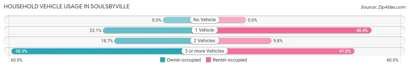 Household Vehicle Usage in Soulsbyville