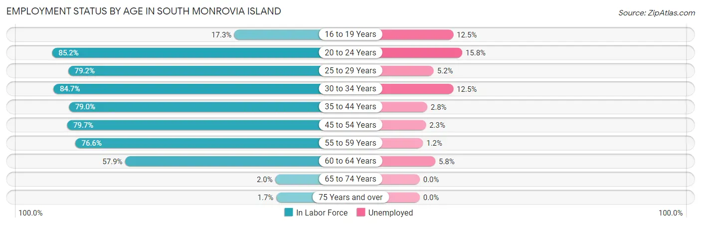 Employment Status by Age in South Monrovia Island