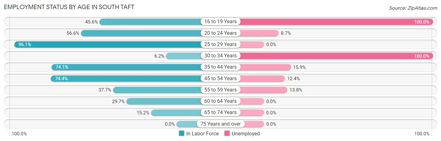 Employment Status by Age in South Taft