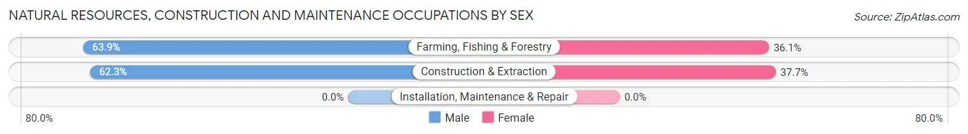 Natural Resources, Construction and Maintenance Occupations by Sex in South Taft